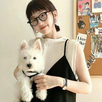 回到凤凰桥
